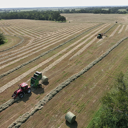 Harvest in progress across coastal Bermuda field
